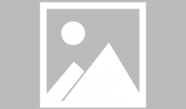 娱乐圈沙雕吃瓜文案,沙雕吃瓜文案背后的欢乐与真相